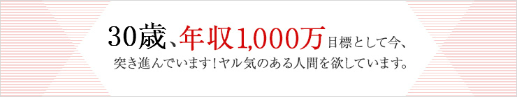 30歳、年収1,000万目標として今、突き進んでいます！ヤル気のある人間を欲しています。